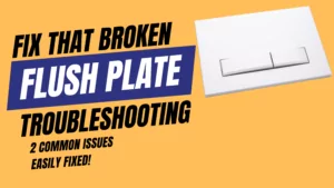 Fix Broken Flush Plate